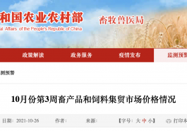 10月份第3周生鲜乳均价4.31元/公斤，同比上涨9.4