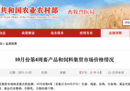 10月第4周生鲜乳均价4.30元/公斤，同比上涨8.9%