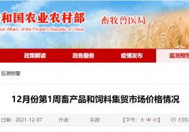 12月第1周生鲜乳均价4.31元/公斤，同比上涨6.2%