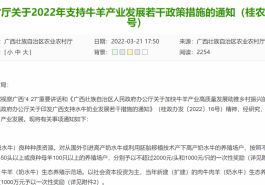 自治区农业农村厅推出“支持奶水牛发展出的奖励”政策