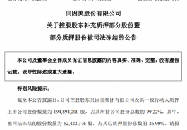贝因美控股股东股权质押比例上升，另4800万股遭司法冻结