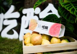 从辅助到主角，卡士用“三重酸感”重构酸奶风味逻辑！